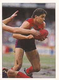 1990 Select AFL Stickers #156 Garry Lyon Front